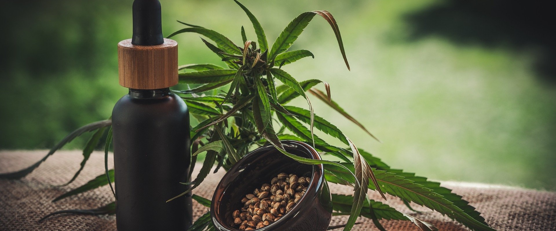 The Potential Benefits and Risks of CBD Oil for the Elderly