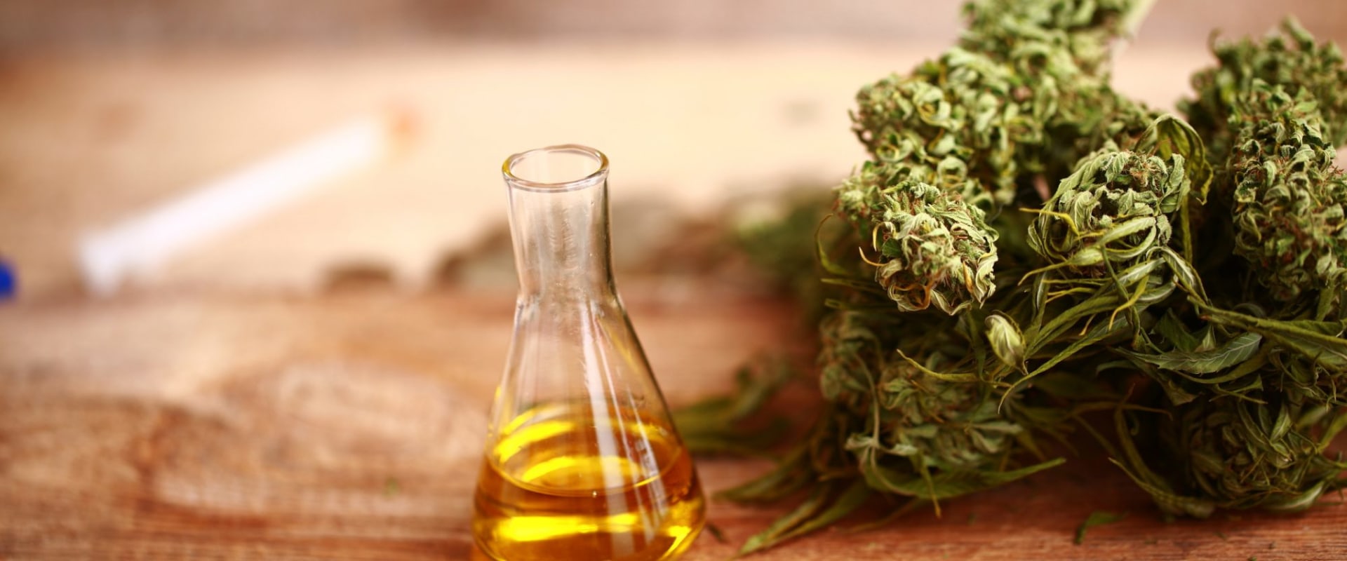 The Potential of CBD: An Expert's Perspective